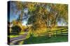 Willow Road-Robert Goldwitz-Stretched Canvas