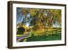 Willow Road-Robert Goldwitz-Framed Photographic Print