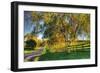 Willow Road-Robert Goldwitz-Framed Photographic Print