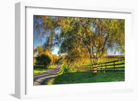 Willow Road-Robert Goldwitz-Framed Photographic Print