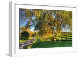 Willow Road-Robert Goldwitz-Framed Photographic Print