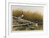 Willow Slew-Wayne Cooper-Framed Limited Edition