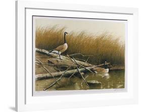 Willow Slew-Wayne Cooper-Framed Limited Edition