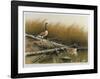 Willow Slew-Wayne Cooper-Framed Limited Edition