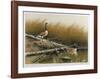 Willow Slew-Wayne Cooper-Framed Limited Edition