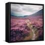 Canvas Black