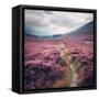 Canvas Black