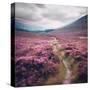 Stretched Canvas