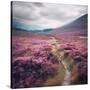 Stretched Canvas