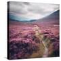 Stretched Canvas