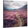 Stretched Canvas