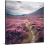 Stretched Canvas