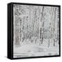 Canvas Black