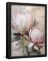 Essential Black