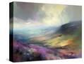 Stretched Canvas