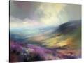 Stretched Canvas