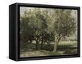 Canvas Black
