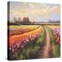 Stretched Canvas