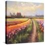 Stretched Canvas