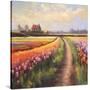 Stretched Canvas