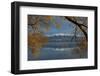 Willow tree and Buchanan Peaks reflected in Lake Wanaka, Otago, South Island, New Zealand-David Wall-Framed Photographic Print