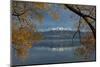 Willow tree and Buchanan Peaks reflected in Lake Wanaka, Otago, South Island, New Zealand-David Wall-Mounted Photographic Print