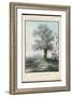 Willow Tree at the Side of a Pond-Piringer-Framed Art Print