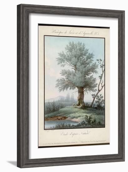 Willow Tree at the Side of a Pond-Piringer-Framed Art Print