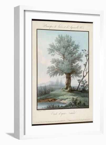 Willow Tree at the Side of a Pond-Piringer-Framed Art Print