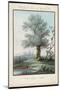 Willow Tree at the Side of a Pond-Piringer-Mounted Art Print