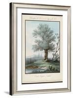 Willow Tree at the Side of a Pond-Piringer-Framed Art Print