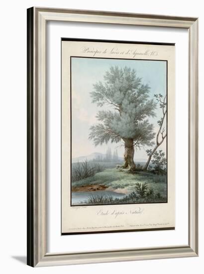 Willow Tree at the Side of a Pond-Piringer-Framed Art Print