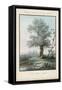 Willow Tree at the Side of a Pond-Piringer-Framed Stretched Canvas