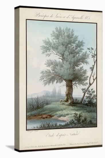 Willow Tree at the Side of a Pond-Piringer-Stretched Canvas