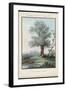 Willow Tree at the Side of a Pond-Piringer-Framed Art Print