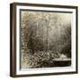 Willow Tree Fountain, Chatsworth, Derbyshire-null-Framed Photographic Print