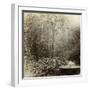 Willow Tree Fountain, Chatsworth, Derbyshire-null-Framed Photographic Print
