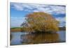 Willow Tree, Lake Tuakitoto, Near Benhar, South Otago, South Island, New Zealand-David Wall-Framed Photographic Print