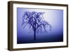 Willow Tree-null-Framed Photographic Print