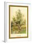 Willow Tree-W.h.j. Boot-Framed Art Print