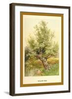 Willow Tree-W.h.j. Boot-Framed Art Print