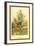 Willow Tree-W.h.j. Boot-Framed Art Print