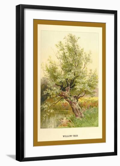 Willow Tree-W.h.j. Boot-Framed Art Print