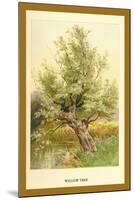 Willow Tree-W.h.j. Boot-Mounted Art Print