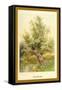 Willow Tree-W.h.j. Boot-Framed Stretched Canvas