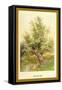 Willow Tree-W.h.j. Boot-Framed Stretched Canvas