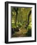 Willow Trees by Forest Stream, New Forest, Hampshire, England, UK, Europe-Dominic Webster-Framed Premium Photographic Print