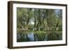 Willow Trees (Salix) Growing in Water, Lake Skadar, Lake Skadar National Park, Montenegro, May 2008-Radisics-Framed Photographic Print