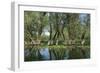 Willow Trees (Salix) Growing in Water, Lake Skadar, Lake Skadar National Park, Montenegro, May 2008-Radisics-Framed Photographic Print