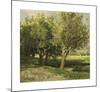 Willow Trees-Willem Roelofs-Mounted Premium Giclee Print